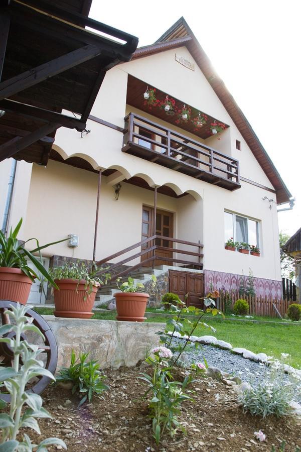 Cabana Denisa Arieşeni Εξωτερικό φωτογραφία